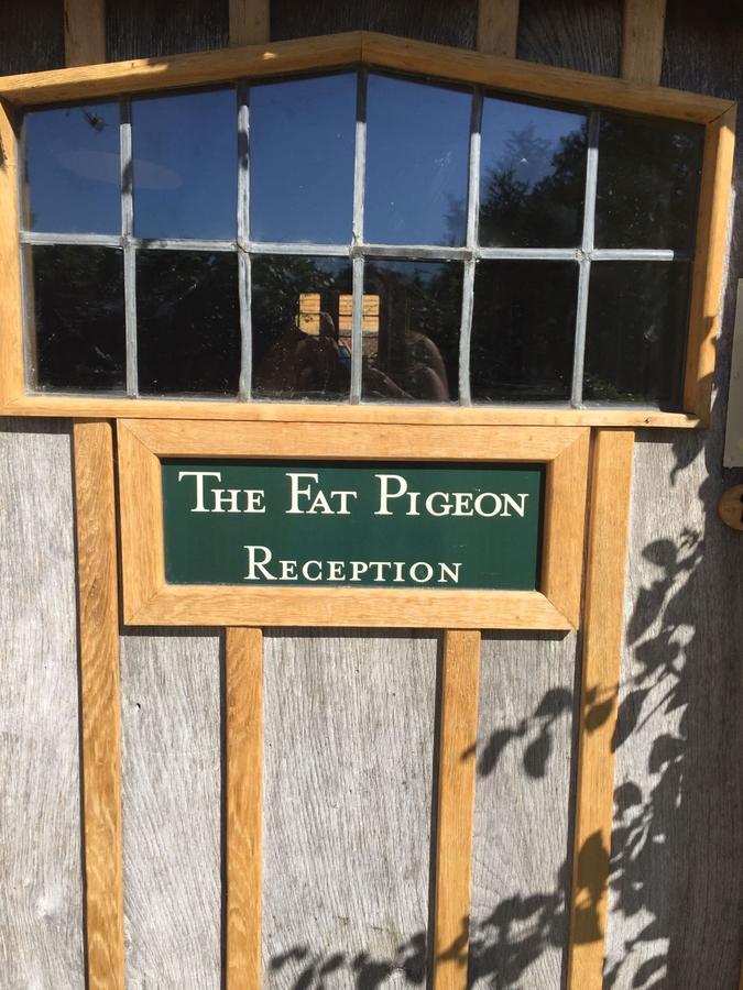 Pensjonat The Fat Pigeon Yeovil Zewnętrze zdjęcie